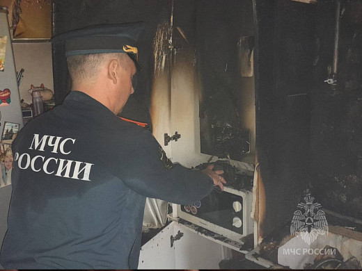 В Приволжске пожарные спасли из горевшей квартиры собаку и кошку